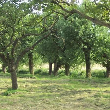 Countryside Above Amsterdam *